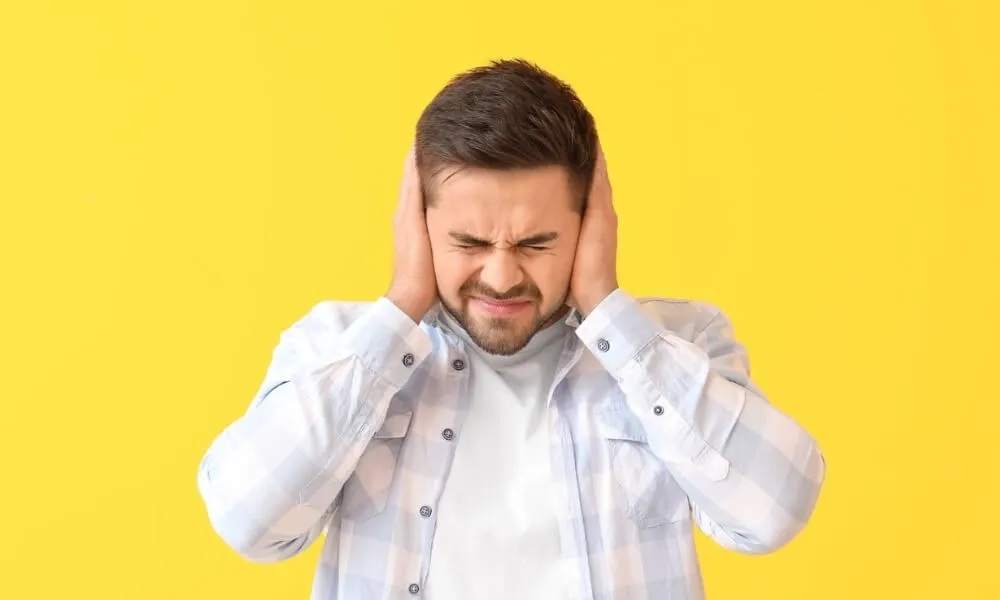 Some of the Important Tips to Avert Harsh Noises
